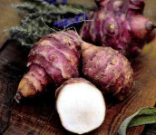 Le topinambour, ses mariages d’amour